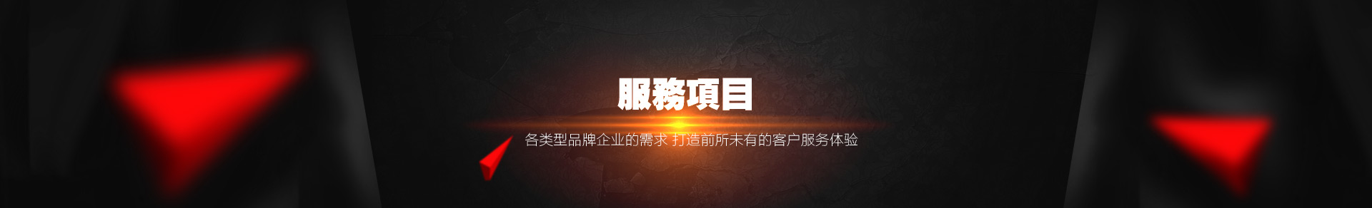 服務(wù)項(xiàng)目